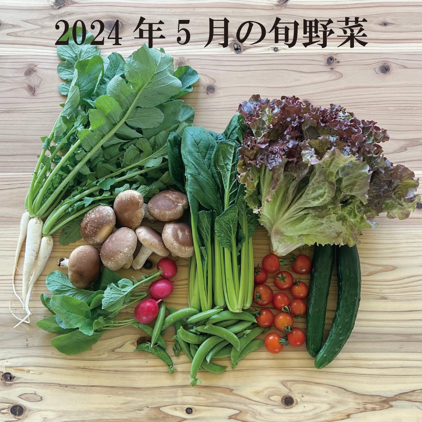 旬の無農薬野菜セット(送料込み)