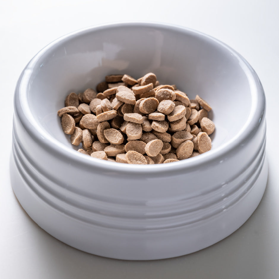 初回限定犬用お試しセット