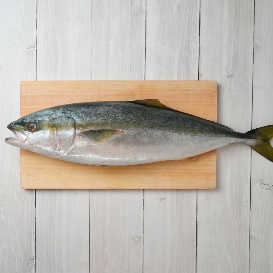 京都舞鶴 ぶりのうま煮 120g×3袋