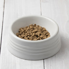 だし薫る犬のごはん フィッシュ 800g