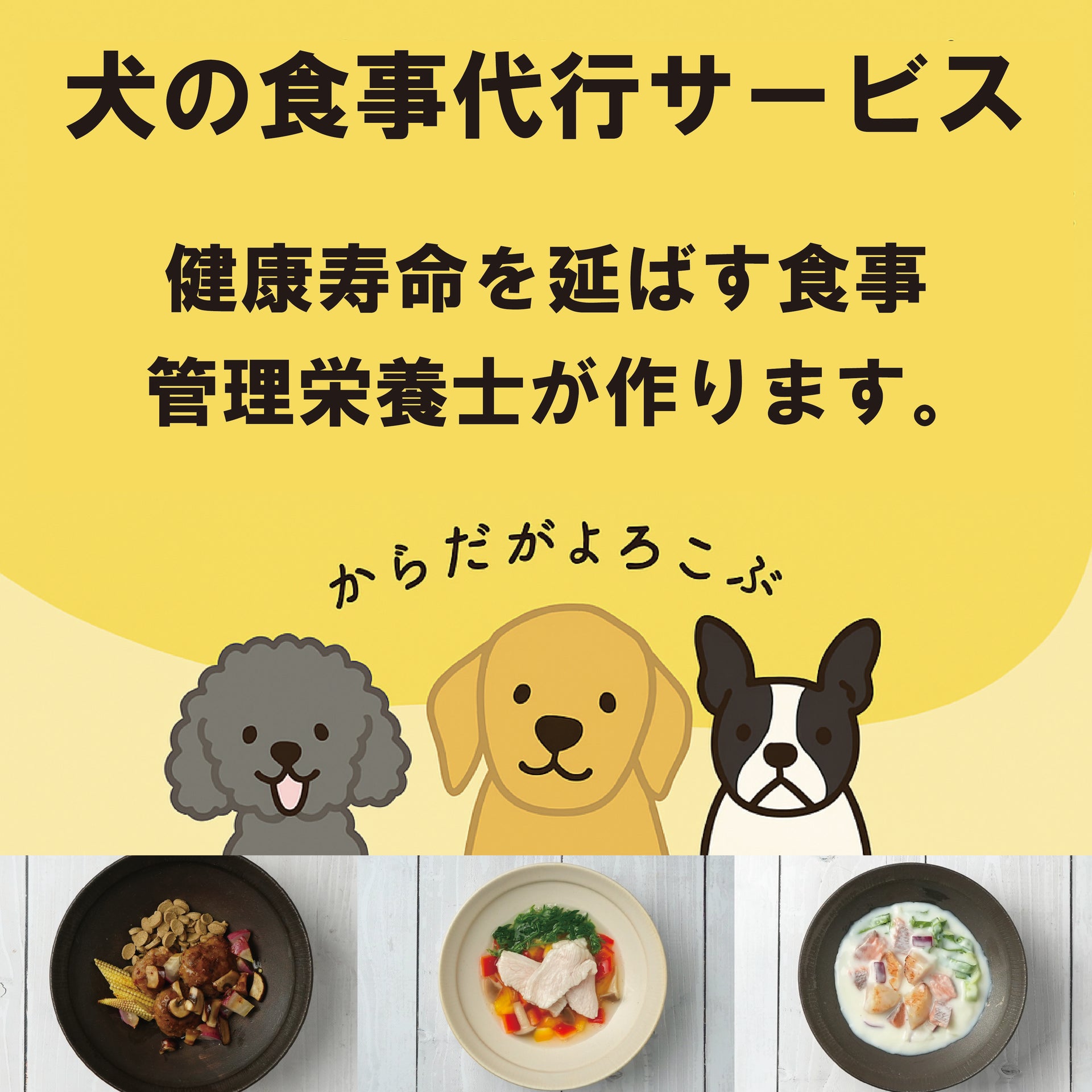 【食事代行サービス】オリジナルフード お試しセット