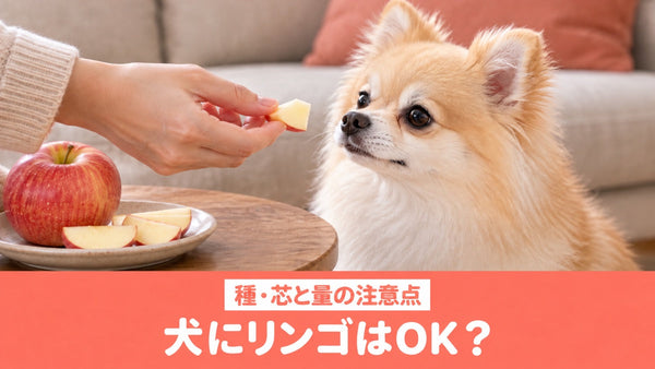 犬にりんごを与えていい？種と芯の外し方と、皮の扱い方・量の決め方