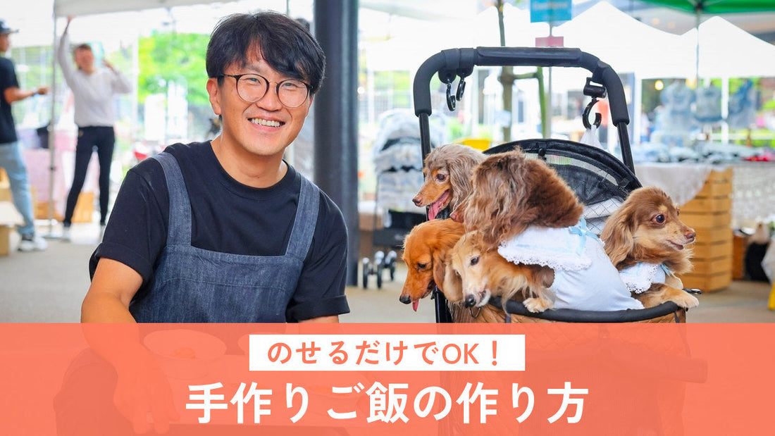 のせるだけでOK！ 手作りご飯の作り方