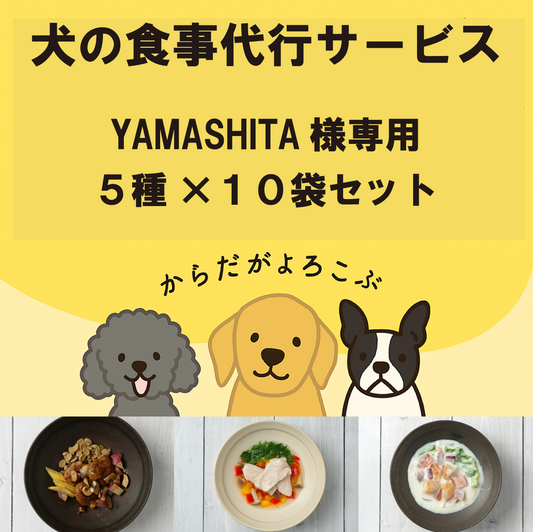 【食事代行サービス】YAMASHITA様専用
