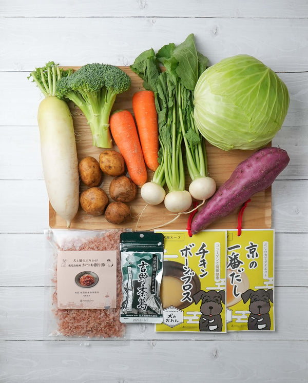 旬の無農薬野菜セット（送料込み）