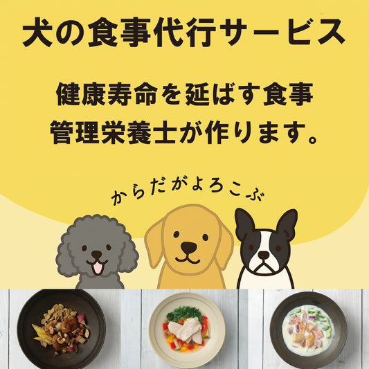 【食事代行サービス】オリジナルフード お試しセット